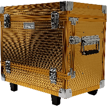 Vincent Large Master Roller Case Gold (VT10145-GD)